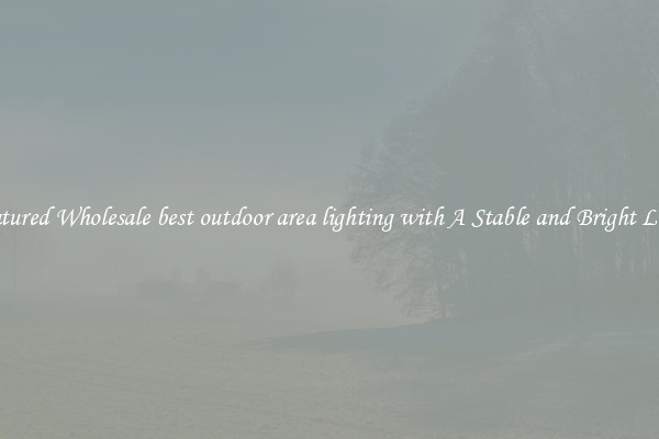 Featured Wholesale best outdoor area lighting with A Stable and Bright Light