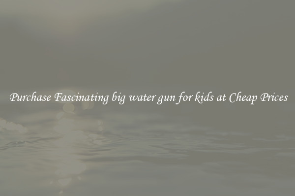 Purchase Fascinating big water gun for kids at Cheap Prices