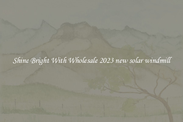Shine Bright With Wholesale 2023 new solar windmill