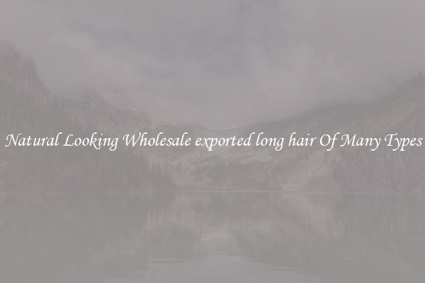 Natural Looking Wholesale exported long hair Of Many Types