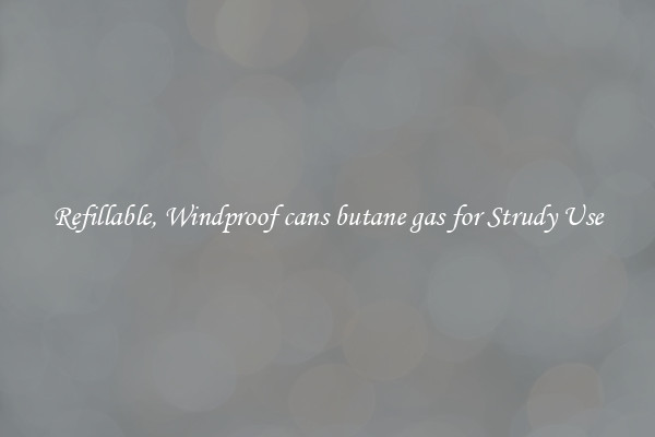 Refillable, Windproof cans butane gas for Strudy Use