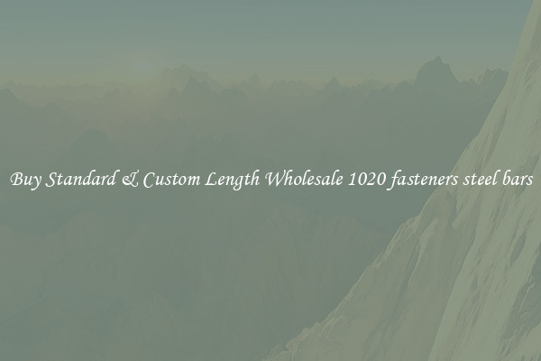 Buy Standard & Custom Length Wholesale 1020 fasteners steel bars