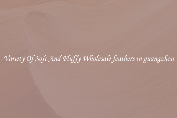 Variety Of Soft And Fluffy Wholesale feathers in guangzhou