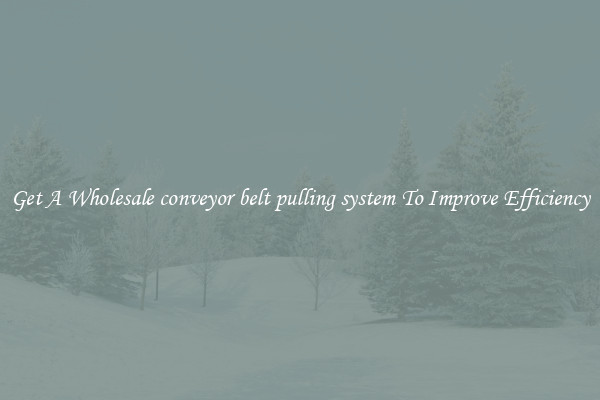 Get A Wholesale conveyor belt pulling system To Improve Efficiency