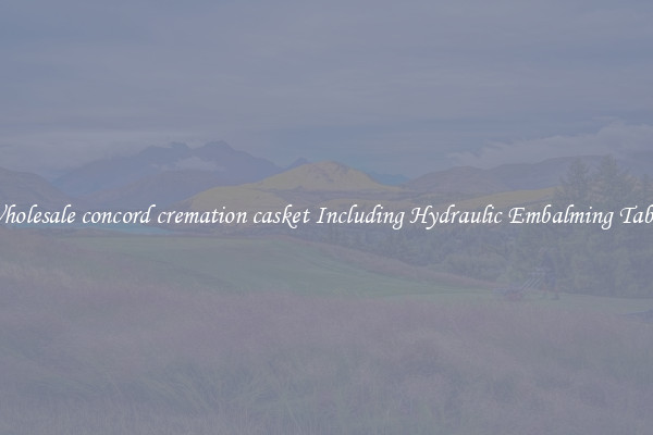 Wholesale concord cremation casket Including Hydraulic Embalming Table 