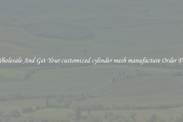 Buy Wholesale And Get Your customized cylinder mesh manufacture Order For Less
