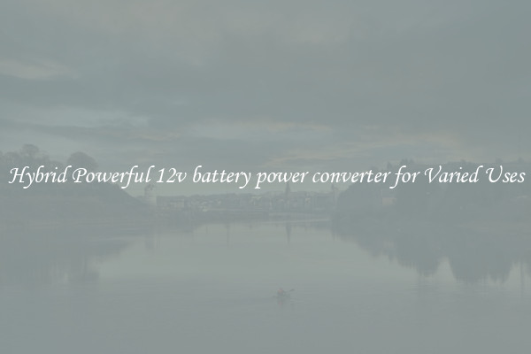 Hybrid Powerful 12v battery power converter for Varied Uses