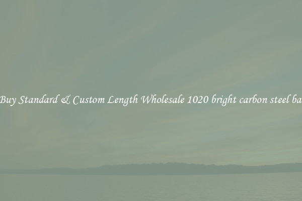 Buy Standard & Custom Length Wholesale 1020 bright carbon steel bar