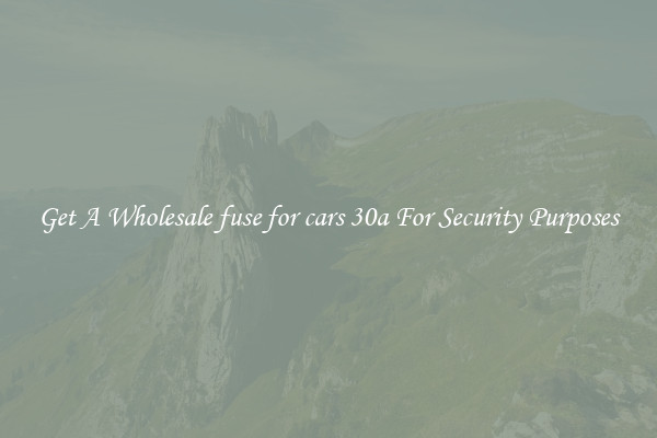 Get A Wholesale fuse for cars 30a For Security Purposes