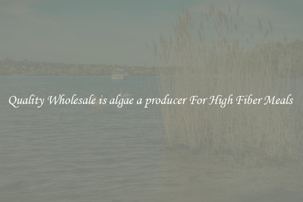Quality Wholesale is algae a producer For High Fiber Meals 