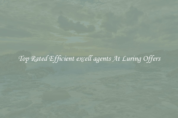 Top Rated Efficient excell agents At Luring Offers