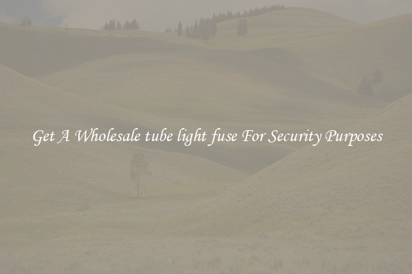 Get A Wholesale tube light fuse For Security Purposes