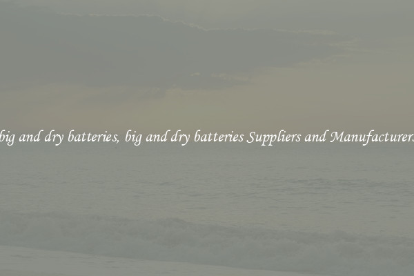 big and dry batteries, big and dry batteries Suppliers and Manufacturers
