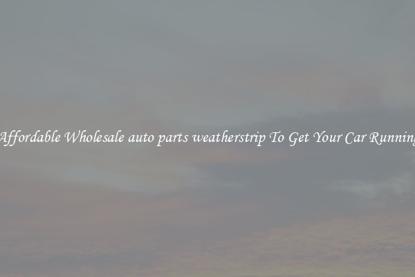 Affordable Wholesale auto parts weatherstrip To Get Your Car Running