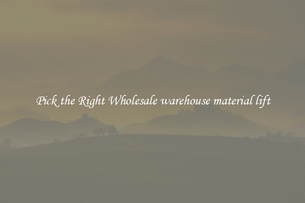 Pick the Right Wholesale warehouse material lift