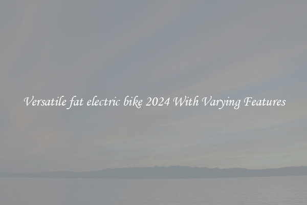 Versatile fat electric bike 2024 With Varying Features