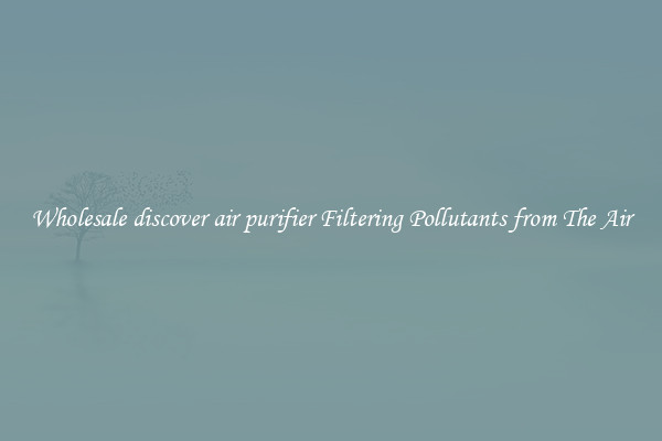 Wholesale discover air purifier Filtering Pollutants from The Air