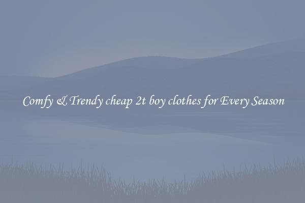 Comfy & Trendy cheap 2t boy clothes for Every Season