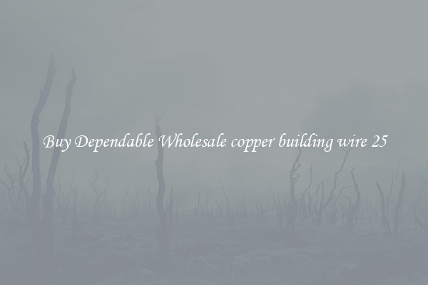 Buy Dependable Wholesale copper building wire 25