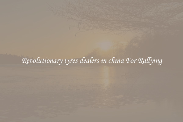 Revolutionary tyres dealers in china For Rallying