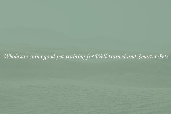 Wholesale china good pet training for Well-trained and Smarter Pets